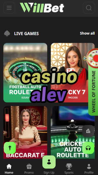 Casino Alev - Top Turkish Online Casino Platform-4x4casino.ydblkf.net